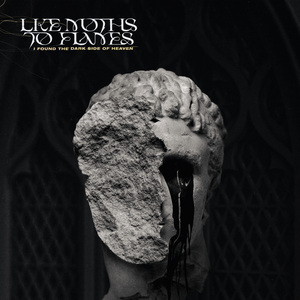 巴西大码纹大屁股的起源和历史
