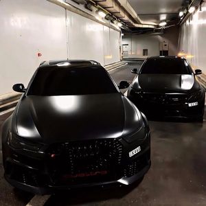 巴西大码纹大屁股的起源和历史
