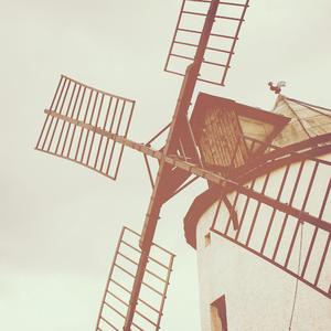 巴西大码纹大屁股的起源和历史
